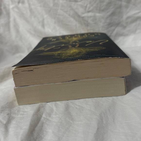 “Without Merit” and “Verity” Paperback Fiction Novels by Colleen Hoover. - Picture 5 of 15